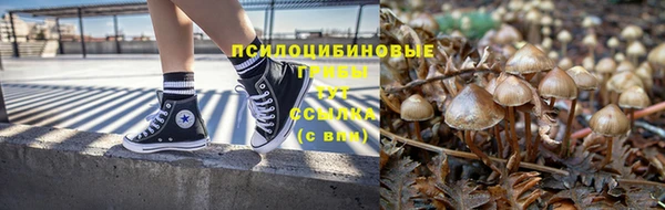 PSILOCYBIN Володарск