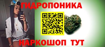 spice Гусев