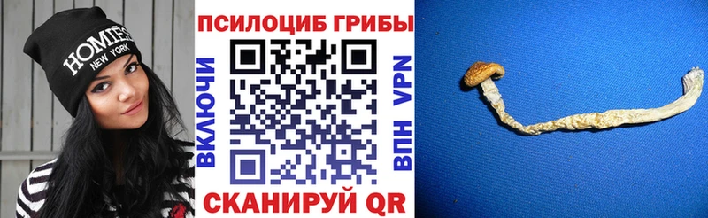 Псилоцибиновые грибы мухоморы  наркотики  Мариинск 